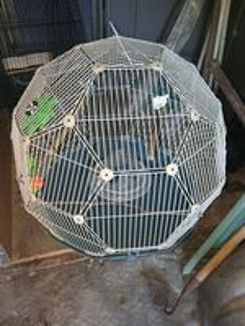   Cage oiseaux 