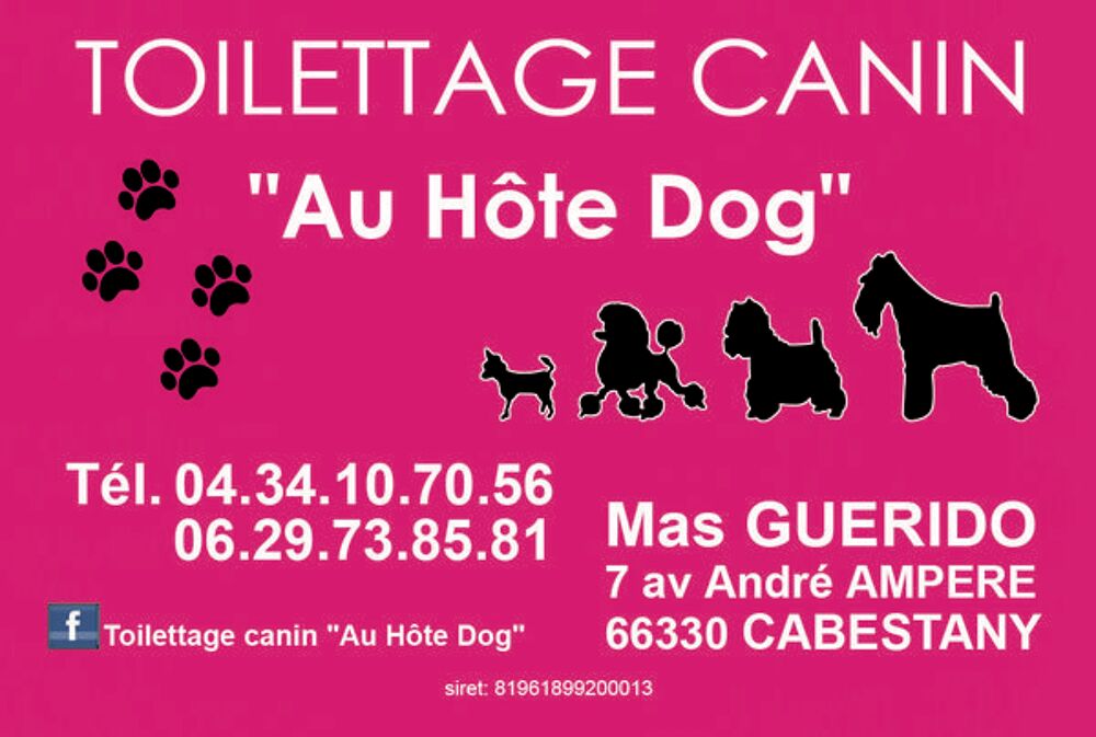   toilettage canin 