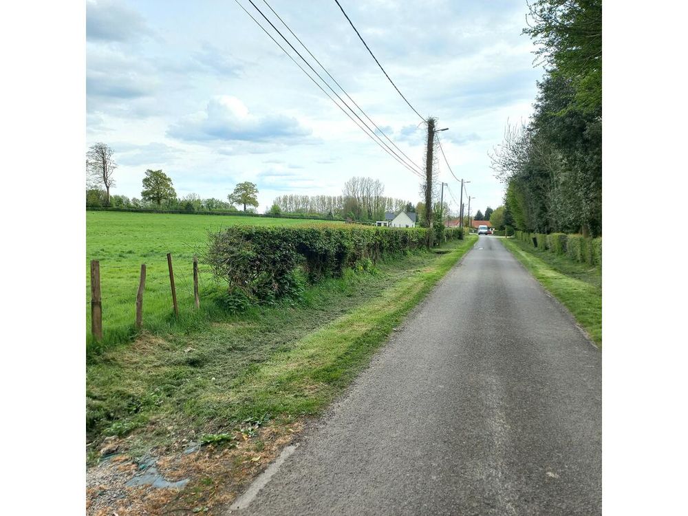 Vente Terrain Terrain Ruisseauville