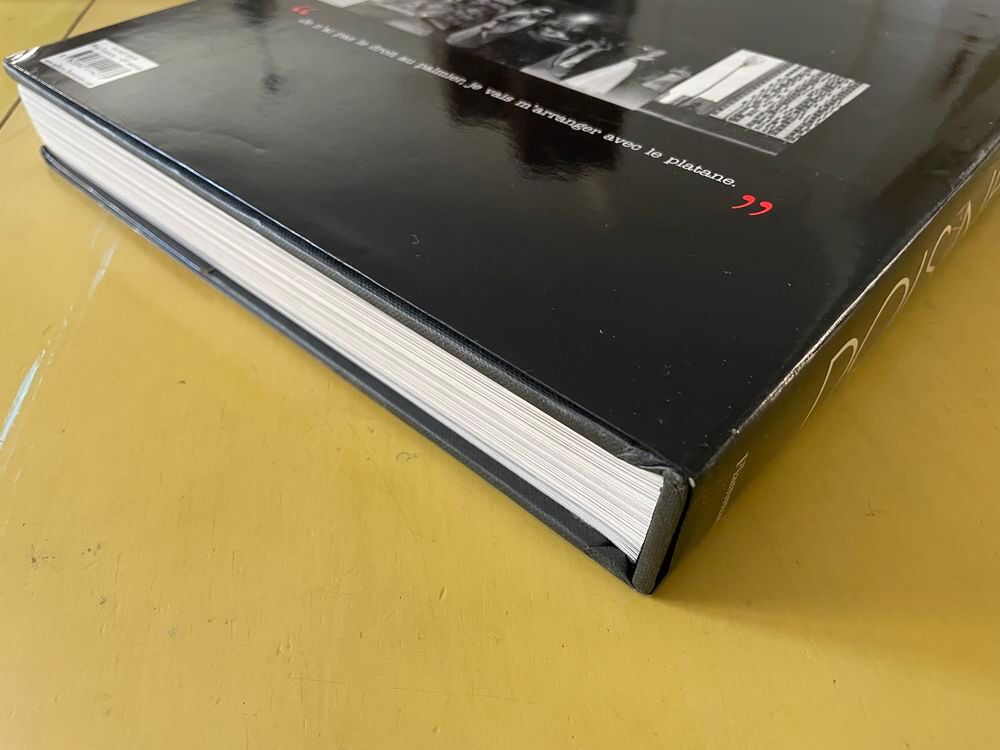 Livre DOISNEAU PARIS TBE Livres et BD