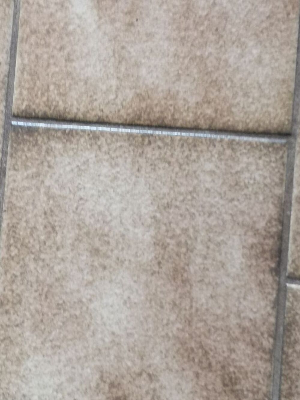 Recherche Carrelage Bricolage