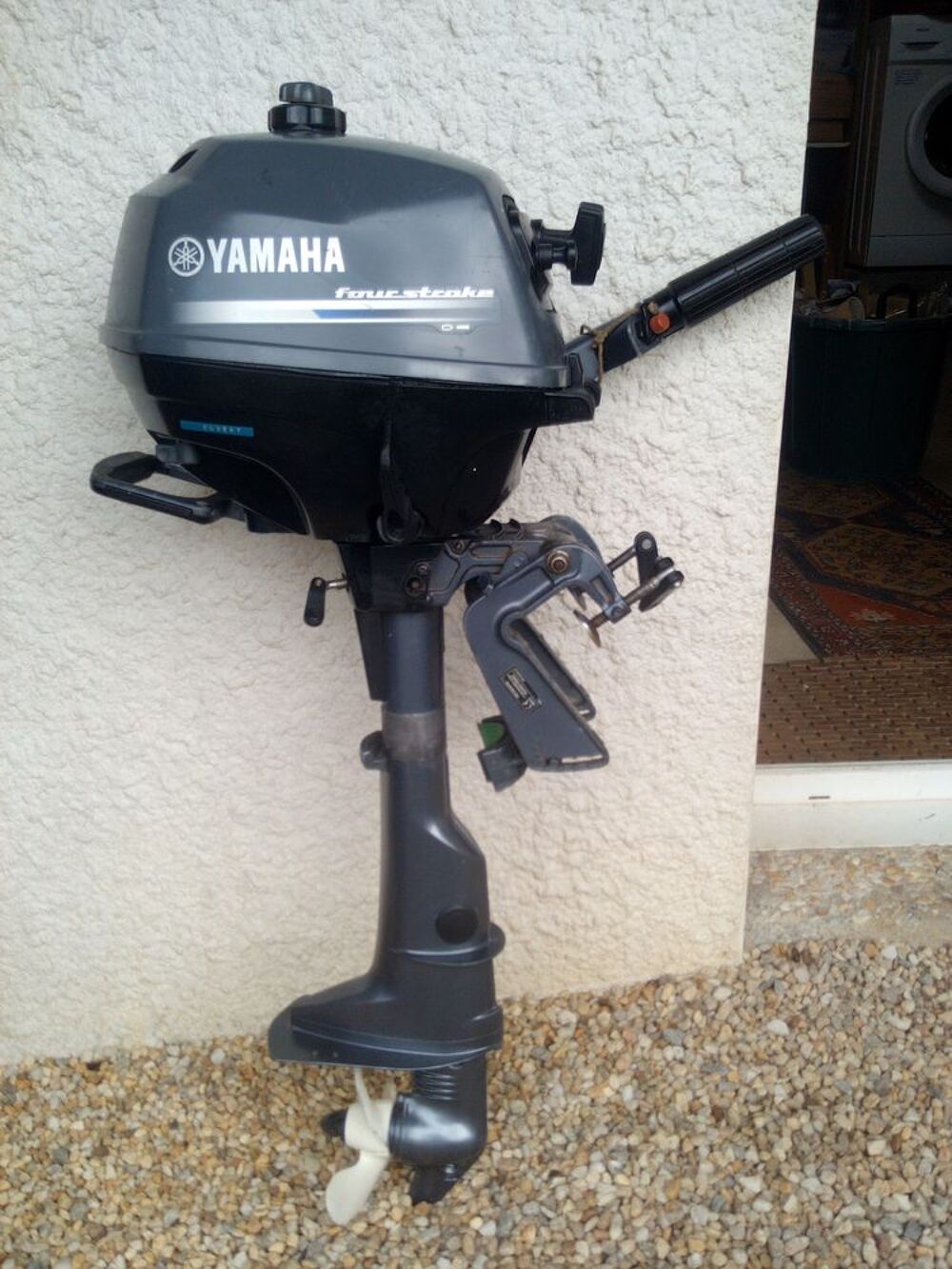  2019 occasion 56450 Saint-Armel