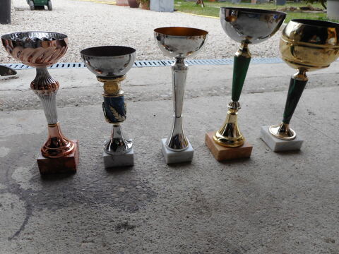 LOT DE 4 COUPES DE VAINQUEURS COMPETITION	 Mazan (84)