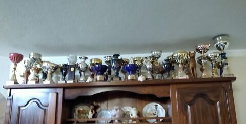Coupes et trophées 0 Meximieux (01)
