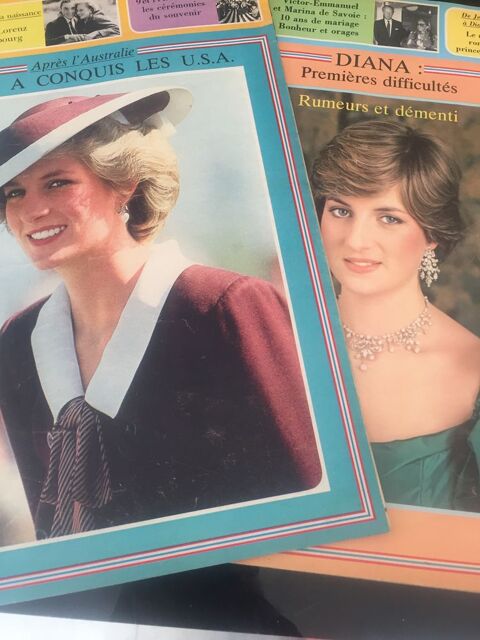 POINT DE VUE  Images : Diana � la une 2 Soissons (02)