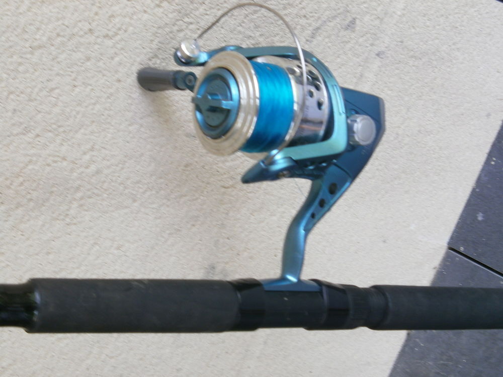 1 canne avec moulinet MITCHELL Sports