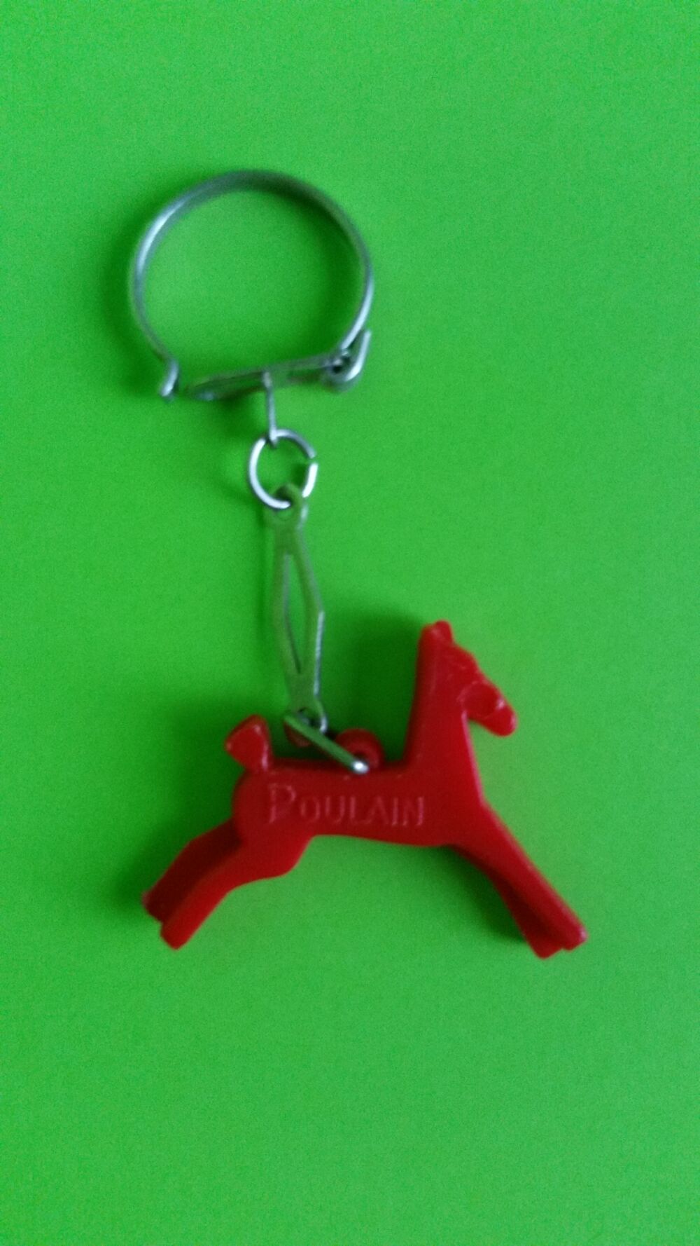 PORTE CL&Eacute; POULAIN 