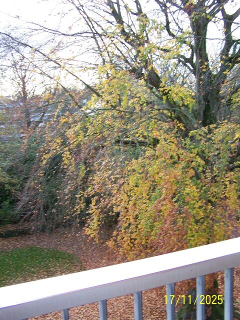  Appartement � louer 2 pi�ces 63 m�