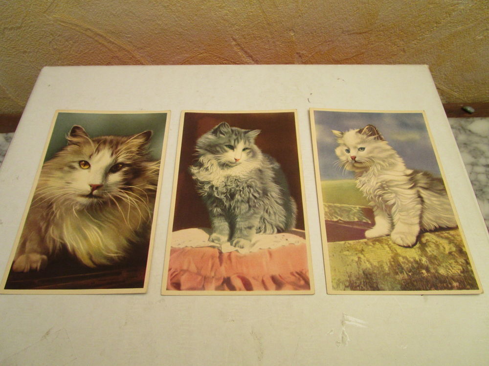 VIEILLE CARTE POSTALE DE CHAT 