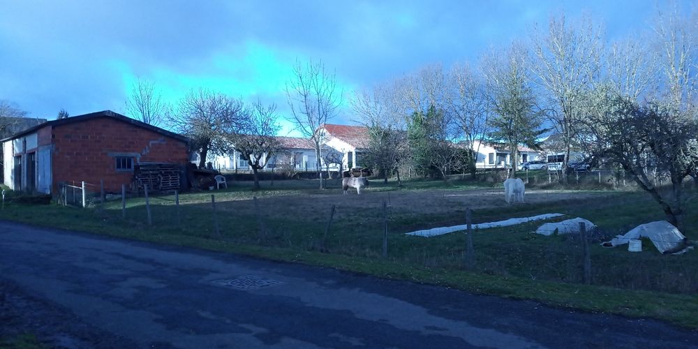 Vente Terrain TERRAIN CONSTRUCTIBLE Centre Valence d'Albigeois Valence-d'albigeois