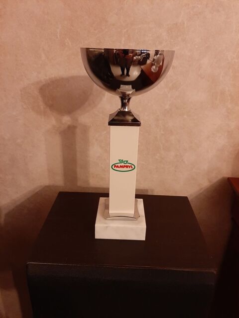 COUPE  PAMPRYL H 27,5
10 Puteaux (92)