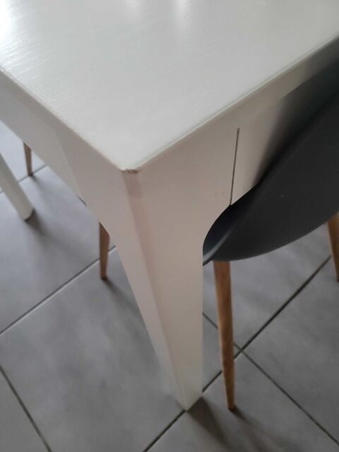 table extensible Seysses (31)