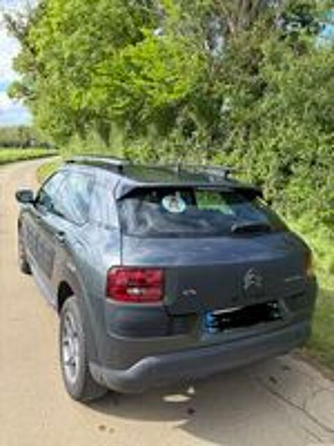 C4 cactus C4 Cactus BlueHDi 100 S&S ETG6 Shine Edition 2016 occasion 18000 Bourges