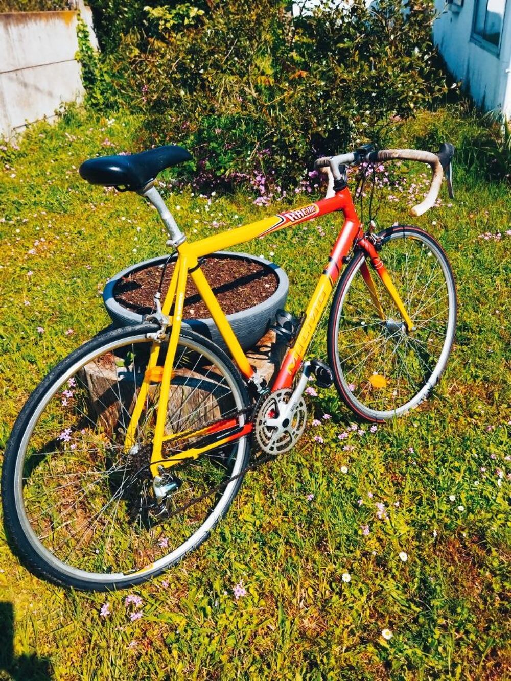 Achetez v lo de course micmo occasion annonce vente La Baule