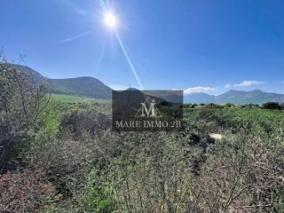  Terrain � vendre 1055 m� Calvi
