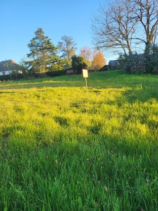  Terrain � vendre 1000 m�