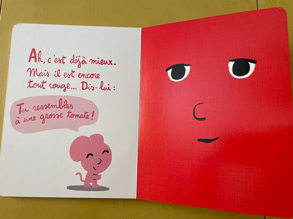 Le Livre - Le Livre En Col&egrave;re ! - Ramadier C&eacute;dric Livres et BD