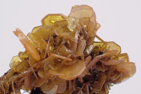 Wulf�nite San Francisco Mine Cerro Prieto Sonora Mexique 64 Bertrichamps (54)