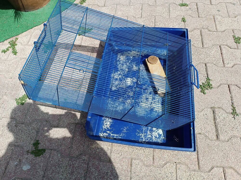 Cage rongeur Jardin
