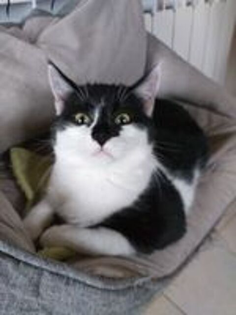   ALBY 