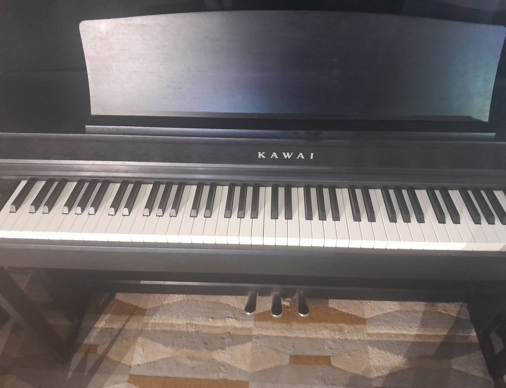 Piano num&eacute;rique Kawai CN39 Instruments de musique