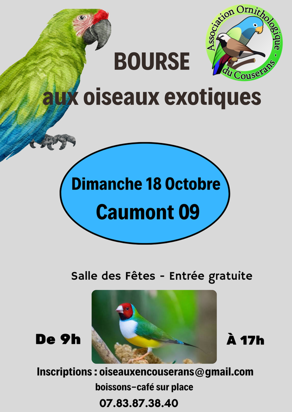   Oiseaux exotiques  