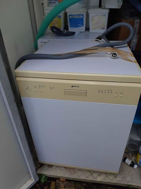 lave vaisselle 100 Floirac (33)