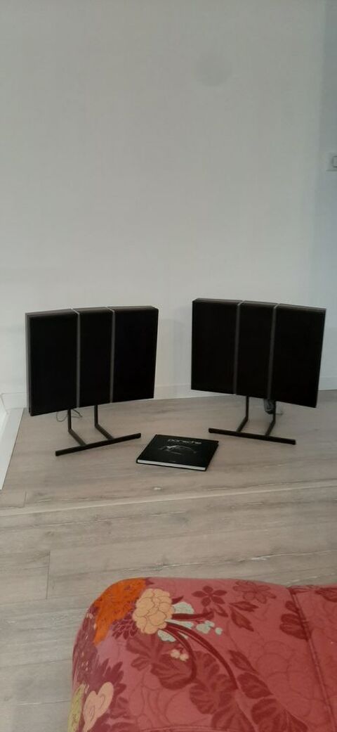 ENCEINTES BANGOLUFSEN 200 Ahetze (64)