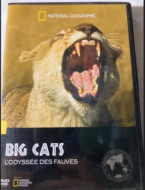 DVD  BIG CATS, L'ODYSSEE DES FAUVES  5 Les glisottes-et-Chalaures (33)