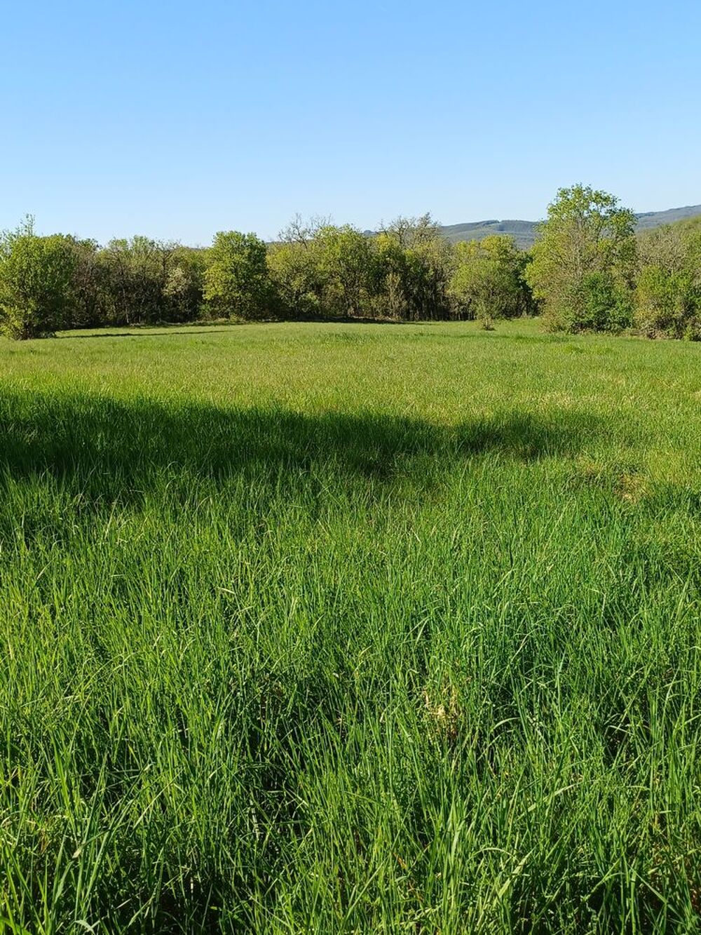 Vente Terrain TERRAIN 7 435 M2 : 59 000 € Saint-germain-du-bel-air