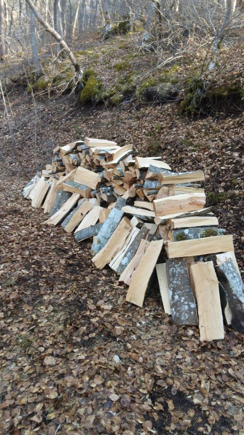Bois de chauffage Jardin