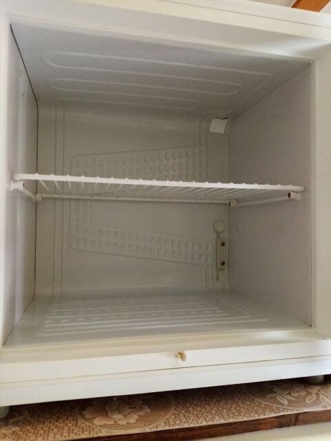 Petit conglateur Arthur Martin 30 Talant (21)