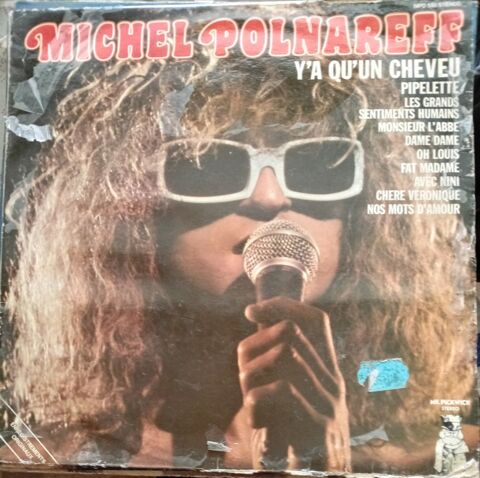 MICHEL POLNAREF  / 10 X DISQUES VYNIL 33 TOURS ET 45 TOURS / Pont-Audemer (27)