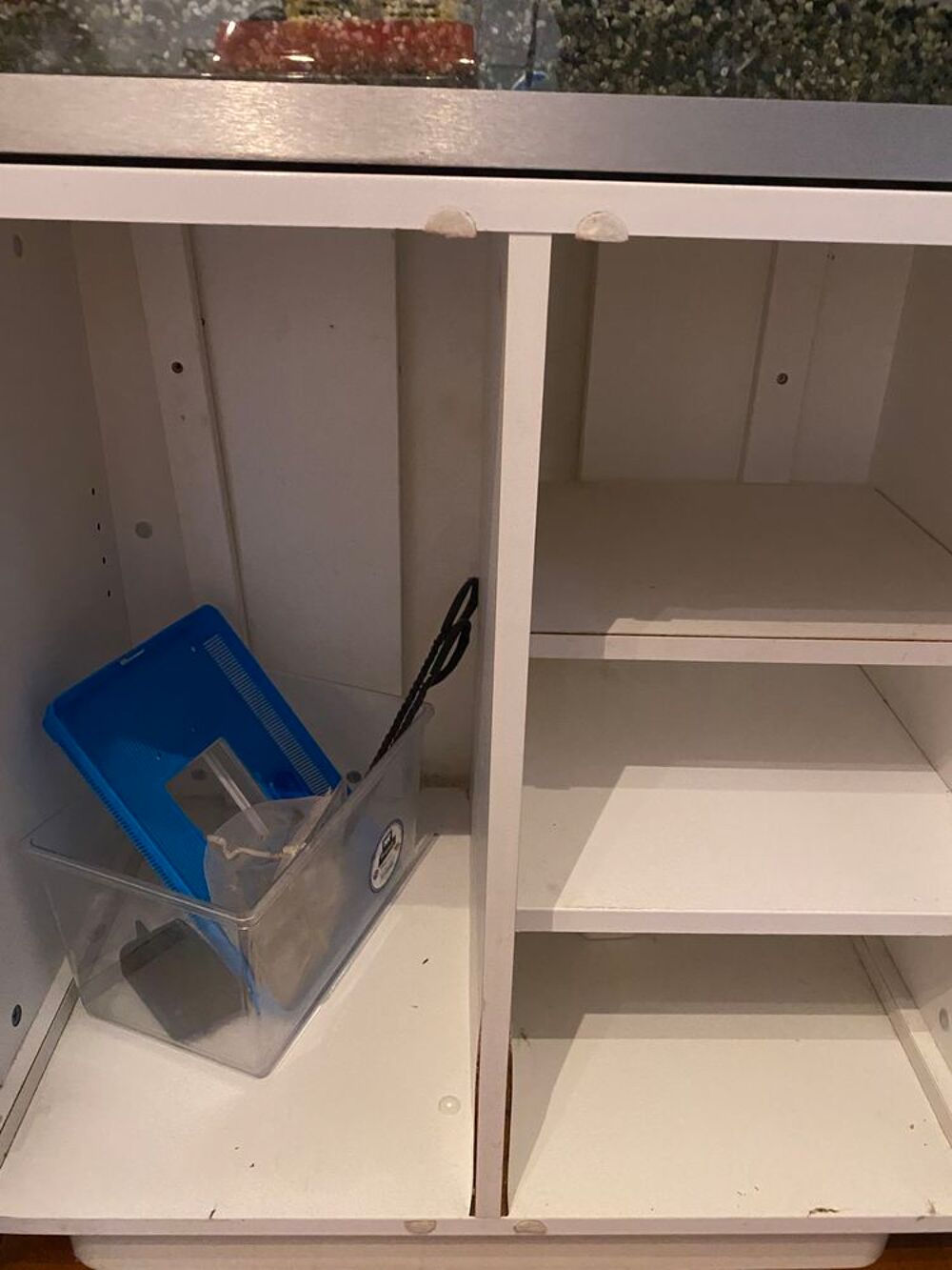 Aquarium de 160l Décoration