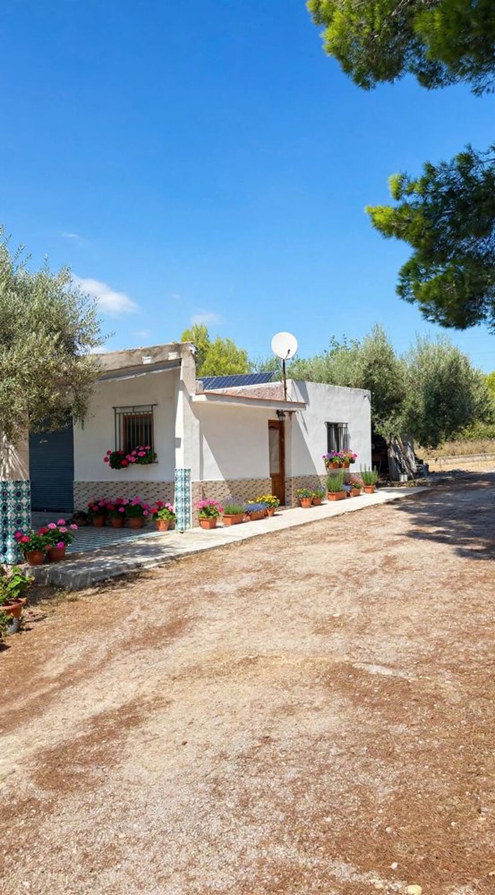 Vente Chalet Finca 10.000m² avec Piscine - Benicarló -espagne Benicarló (Espagne)
