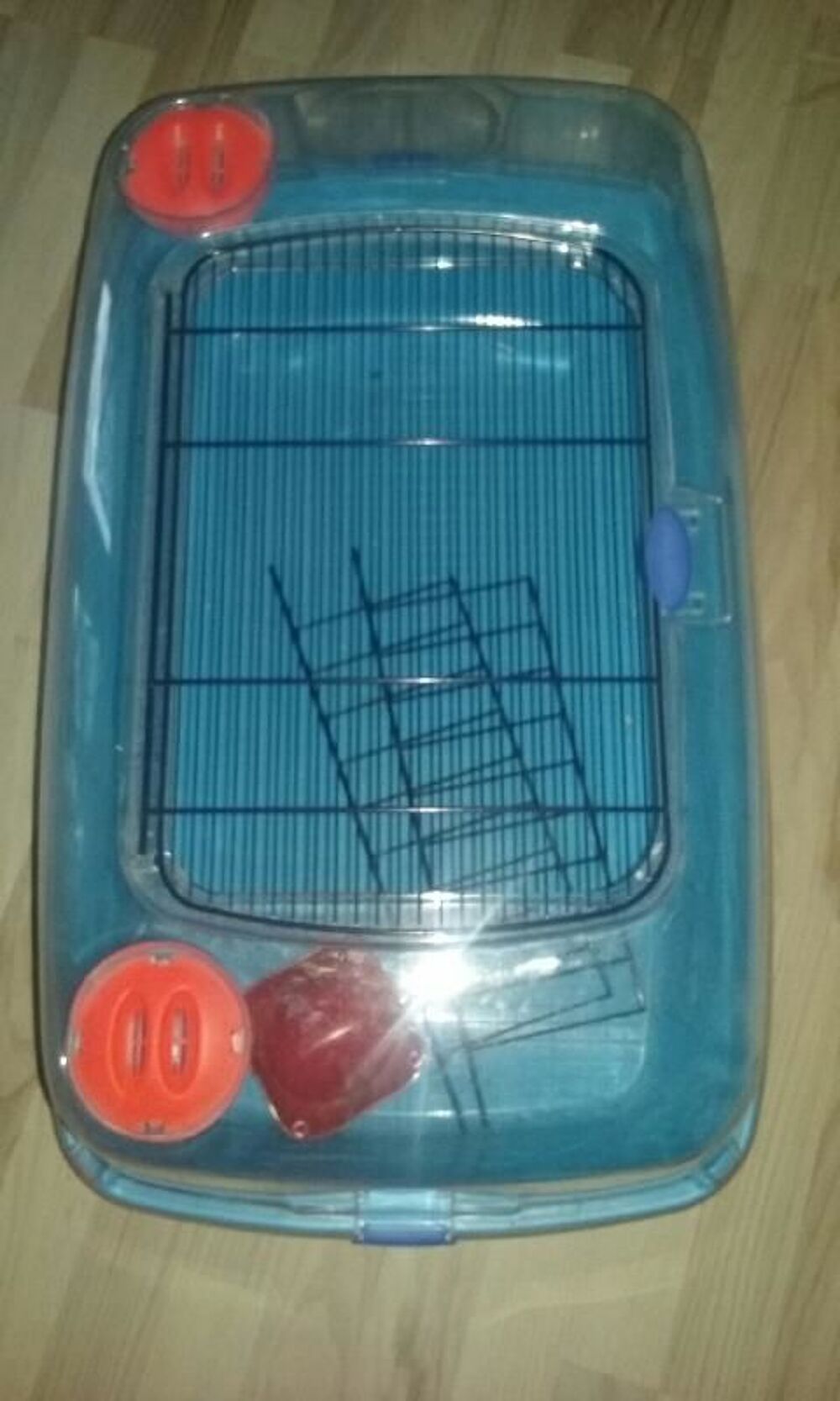 Cage pour lapin nain Jardin