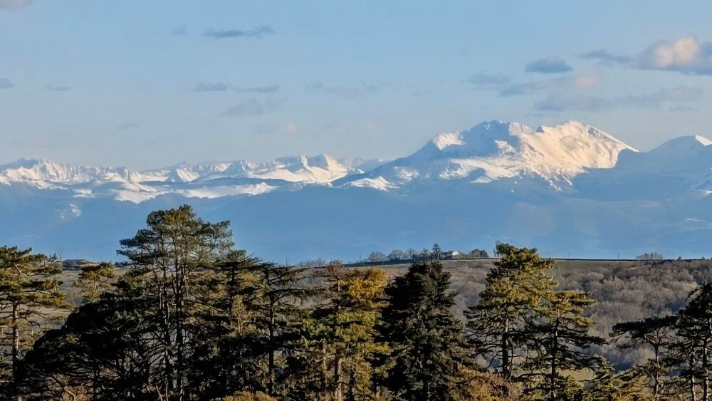 Vente Terrain Rare à Vigoulet, terrain plat constructible de 1483 m2. Vigoulet-auzil