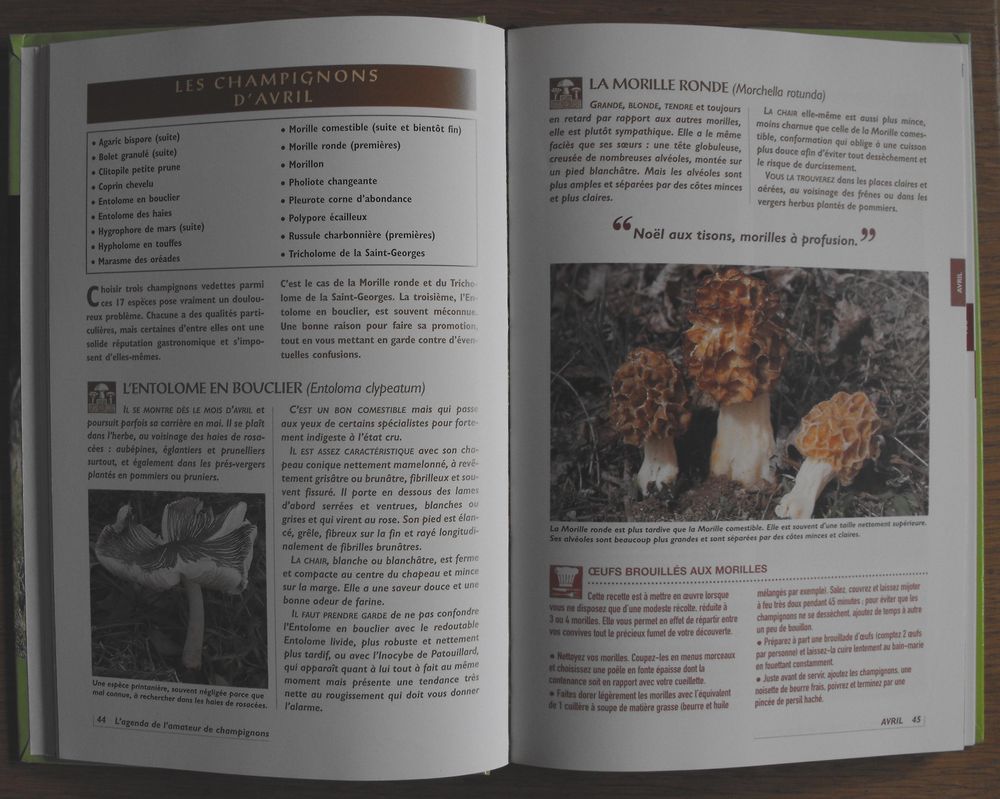 AGENDA DE L'AMATEUR DE CHAMPIGNONS Livres et BD