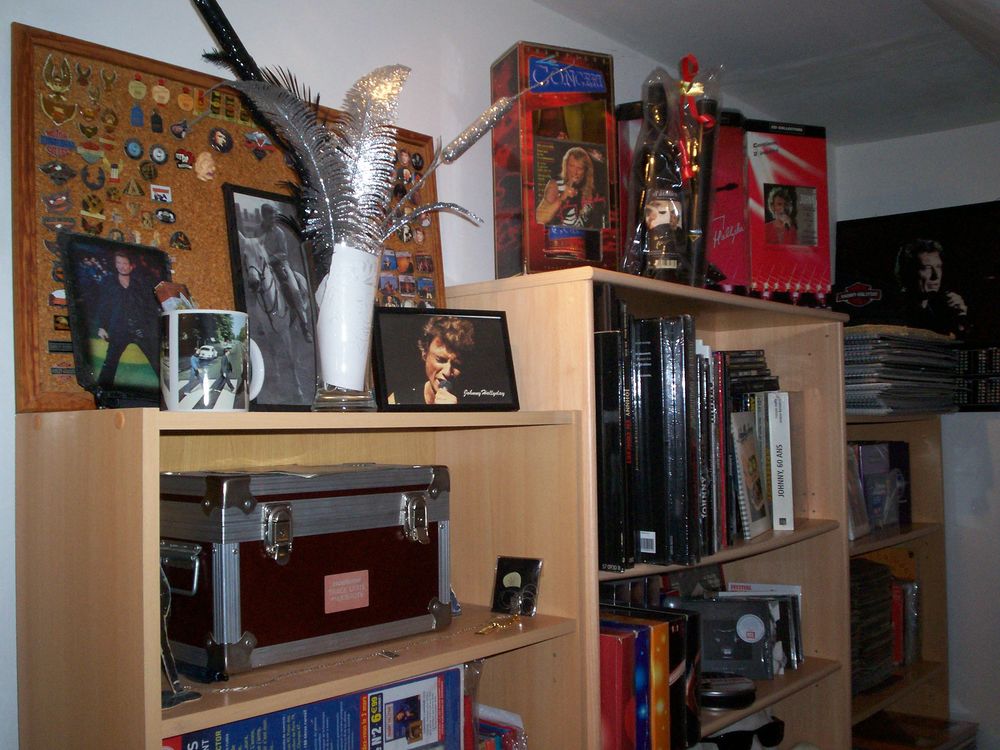 COLLECTION JOHNNY HALLYDAY CD et vinyles