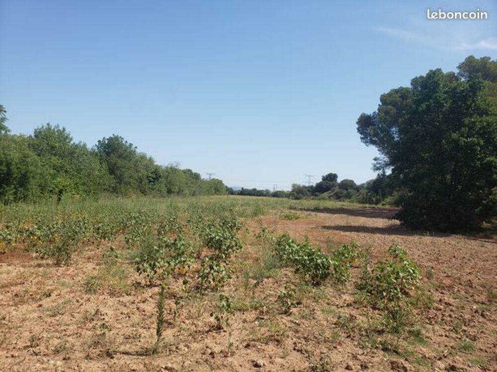 Vente Terrain terrain agricole bio irrigable 22800m2 Castelnau-d'aude
