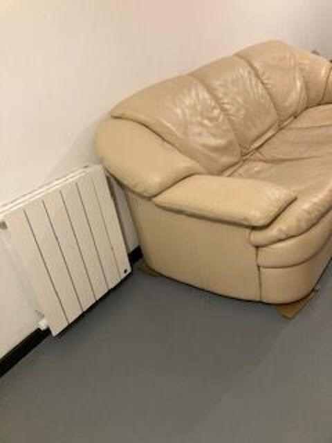 canap� 100 Sornay (71)