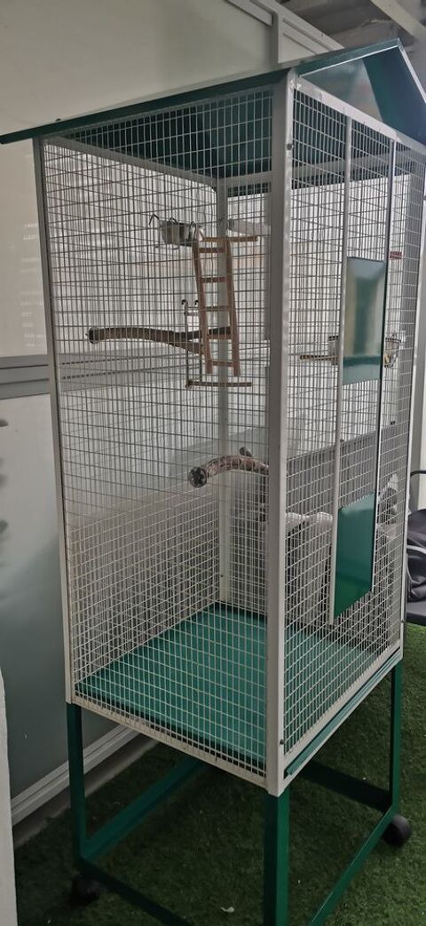 GRANDE CAGE OISEAUX 80 33130 B�gles