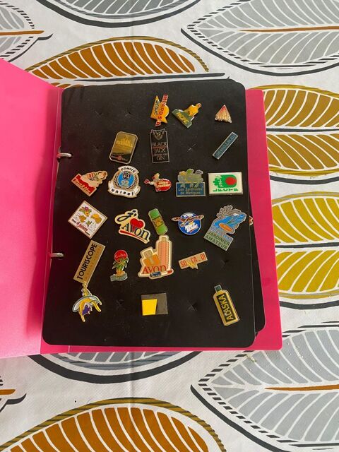 classeur de 75 pin s divers 25 Lamballe (22)