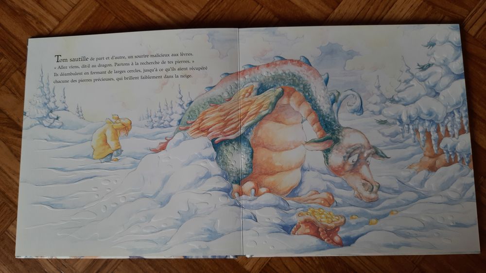 Livre Petit Dragon des Neiges - Album Livres et BD