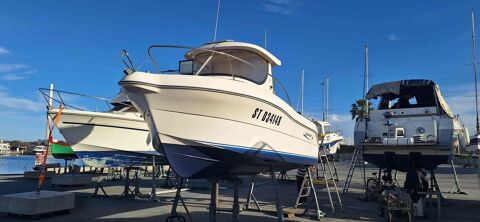 Bateaux à moteur Pêche-promenade 2006 occasion Saint-Cyprien 66750