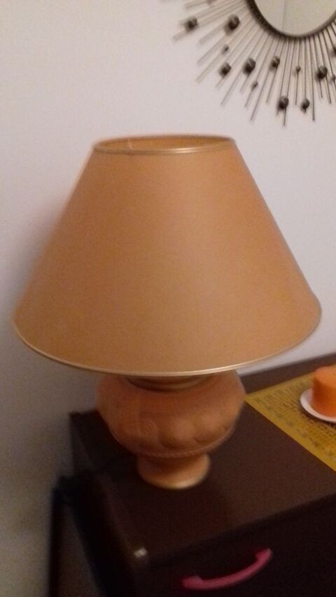 Lampe  poser 5 Montech (82)