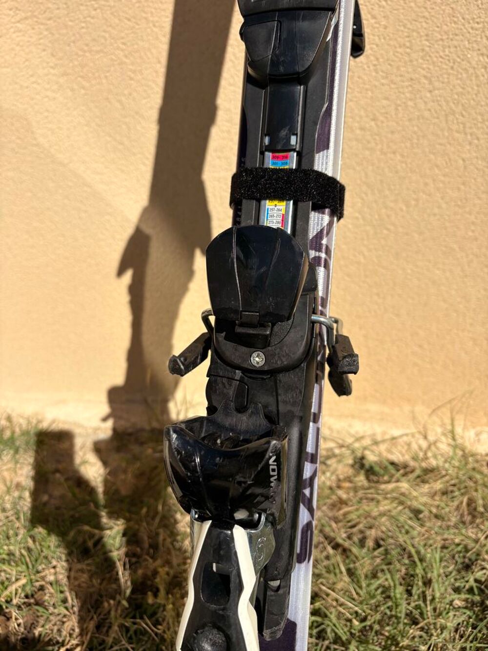 ski alpin Sports