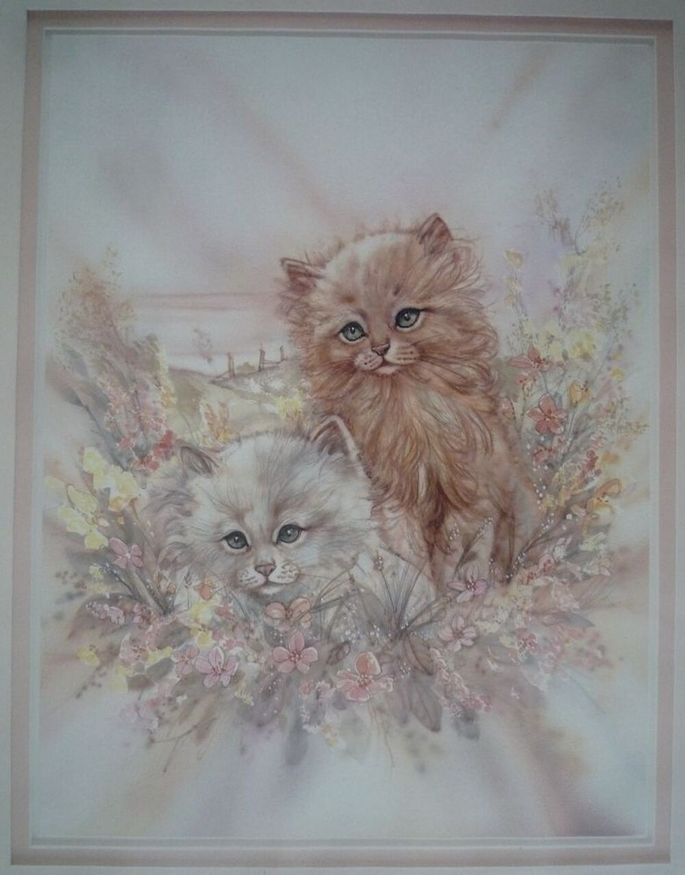 Cadre Blanc Image Chatons Décoration