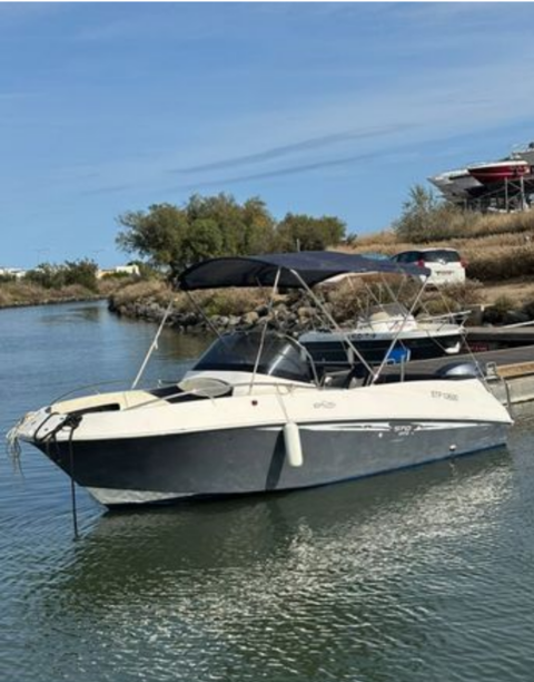 Bateaux à moteur Dinghie - Runabout - Open 2013 occasion Le Cap D Agde 34300