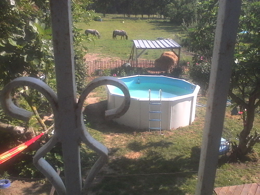Piscine ,hors sol complet Sports